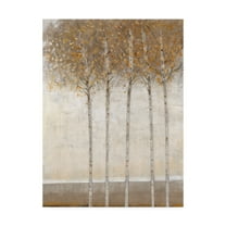 Trademark Fine Art 'Early Fall I' Canvas Art by Tim OToole