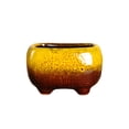 thumbnail image 1 of Maceta Suculenta de Cerámica Matsuzay para Jardín y Patio Color Aleatorio, 1 of 6