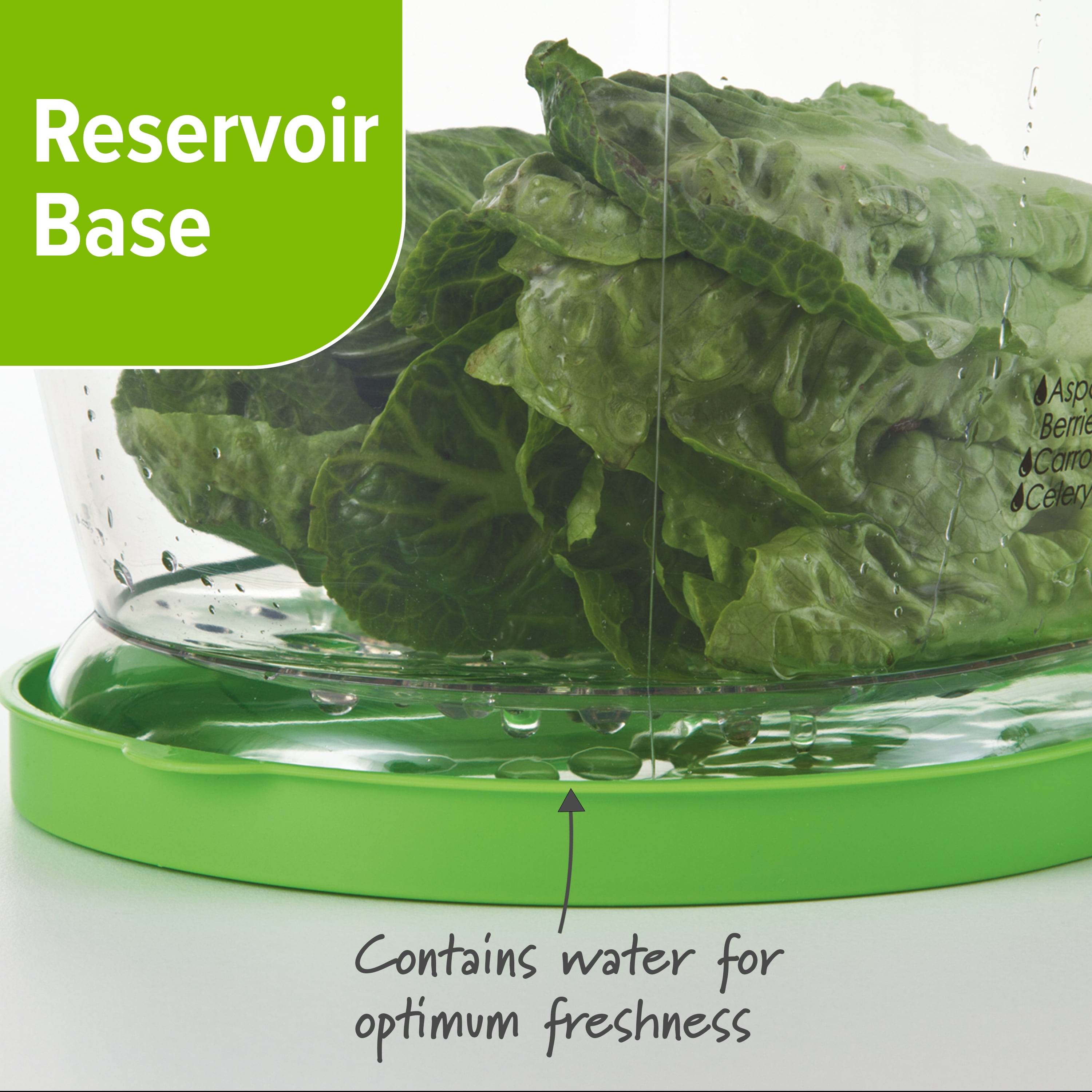 Progressive Lettuce Keeper - Thumbnail 3