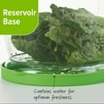 thumbnail image 6 of (3 pack) Prep Solutions Lettuce Keeper, 6 of 10