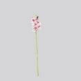 thumbnail image 2 of 2 Branches Orchid Artificial Flower Orchid Artificial Flower; 2 7-Head Fabric Simulation Flower Home Wedding Decoration, 2 of 7