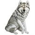 thumbnail image 2 of Sandicast "Life Size Large" Sitting Gray Wolf Sculpture, 2 of 2