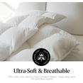 thumbnail image 6 of Royal Luxe Goose Feather Down Fiber Comforter All Season Comforter - Twin Size Duvet Insert, 68”x88”, 6 of 7