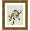 thumbnail image 1 of Murdock, Ramona 15x18 Gold Ornate Wood Framed with Double Matting Museum Art Print Titled - Mockingbird Medley I, 1 of 4