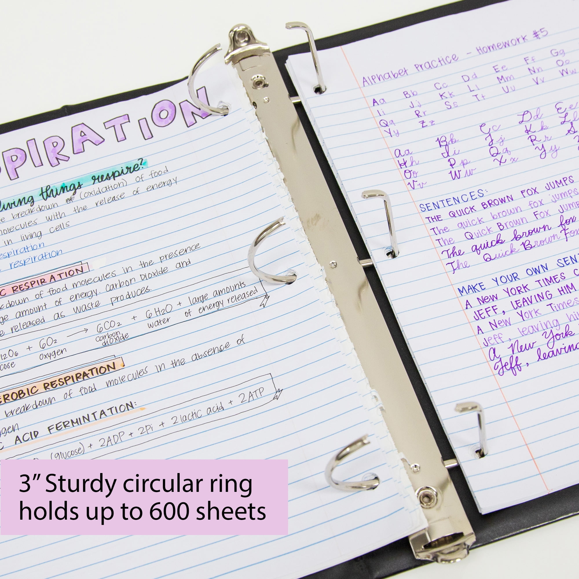 BAZIC 3 Ring Binder 3" View Binders Slant D Ring Black, Hold 600 Sheets, 1-Count