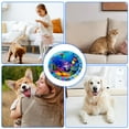 thumbnail image 4 of Dogs Cats Cooling Mat Bed Soft Pad Inflatable Water Bed Sofa Lounger Napping Pad Inflatable Bed, 4 of 8