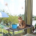 thumbnail image 6 of PUMYPOREITY Cat Window Perch, Cat hammocks with 4 Suction Cups, Cat Bed 360° Sunbathe, Cat Resting Seat, Breathable Mesh, 6 of 7