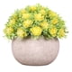 thumbnail image 1 of Pequeñas plantas verdes artificiales para la decoración de la casa., 1 of 5
