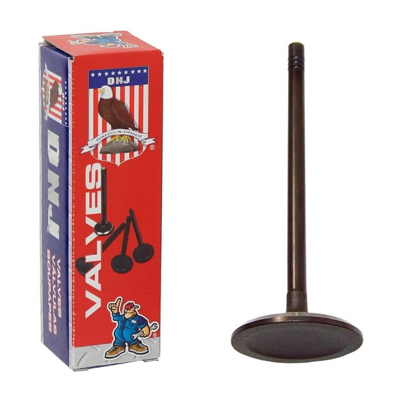 DNJ IV3140 Intake Valves Set Fits Cars & Trucks 06-12 Buick 2.9L-4.2L DOHC