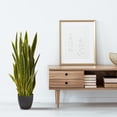 thumbnail image 2 of Nearly Natural 38in. Sansevieria Artificial Plant, 2 of 2