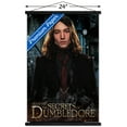 thumbnail image 3 of Fantastic Beasts: The Secrets of Dumbledore - Credence Barebone Wall Poster with Magnetic Frame, 22.375" x 34", 3 of 6