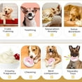 thumbnail image 6 of Pet Supplies Pet Toys Dog Toys Dog Teething Sticks Relieve Boredom Chew Toys New Teething Toys And Teeth Cleaning Effects, 6 of 7
