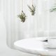 thumbnail image 4 of unbranded 12Jgo Soporte Colgante Para Tilandsia Con Artístico Y Soporte Fuerte Para Plantas De Interior, 4 of 8