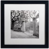 Trademark Fine Art "Firenze I" Canvas Art by Alan Blaustein, White Matte, Black Frame