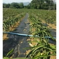 thumbnail image 4 of Estera de jardinería de tela barrera contra malezas con rejilla para control de malezas en paisajes negros 1.5x5 metros, 4 of 9