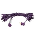 thumbnail image 2 of Vickerman 35 Purple Dura-lit Mini Light on Purple Wire, 26' Christmas Light Strand, 2 of 2