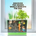 thumbnail image 3 of Root Viewer - Growing Kit for Kids - Science Toy & Craft Kit - Gift for Kids, 3 of 8