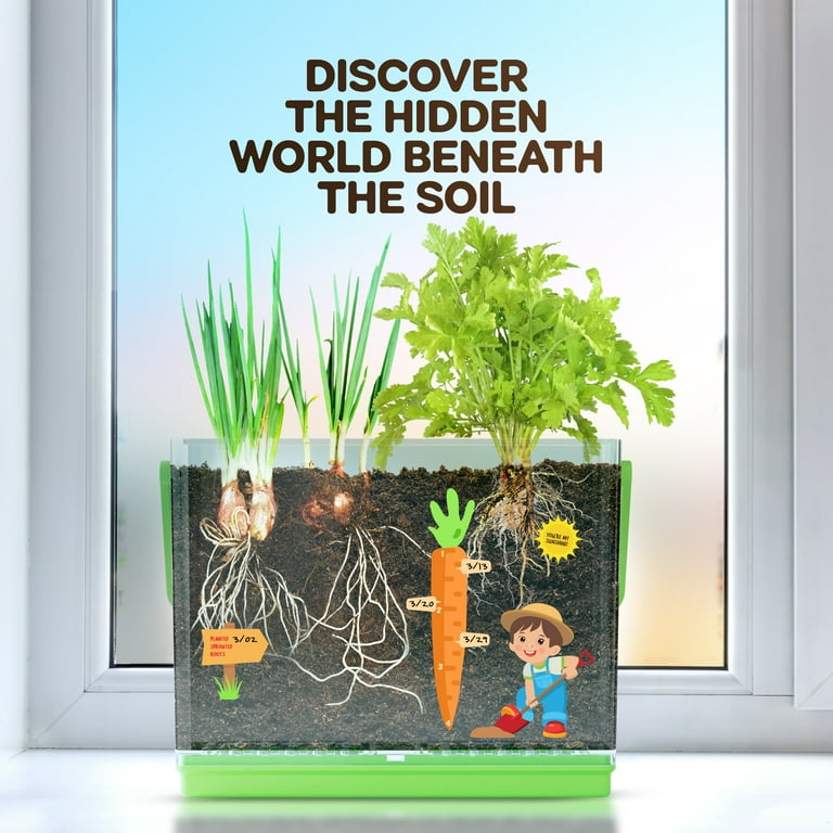 D&D Root Viewer Kit, STEM Gardening Toy for Kids, Grow Plants