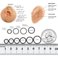 thumbnail image 4 of xianyou-Titanium Nose Rings 20G 18G 16G Nose Rings Hoops Septum Clicker Hinged Segment Ring Cartilage Helix Tragus Conch Daith Rook Hoop Earring, Diameter 5mm to 12mm Silver Gold Body Piercing Jewelr, 4 of 4