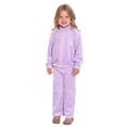 thumbnail image 2 of Care Bears Toddler Girls Velour Track Jacket and Flare Pants Set, 2-Piece, Sizes 12M-5T, 2 of 11