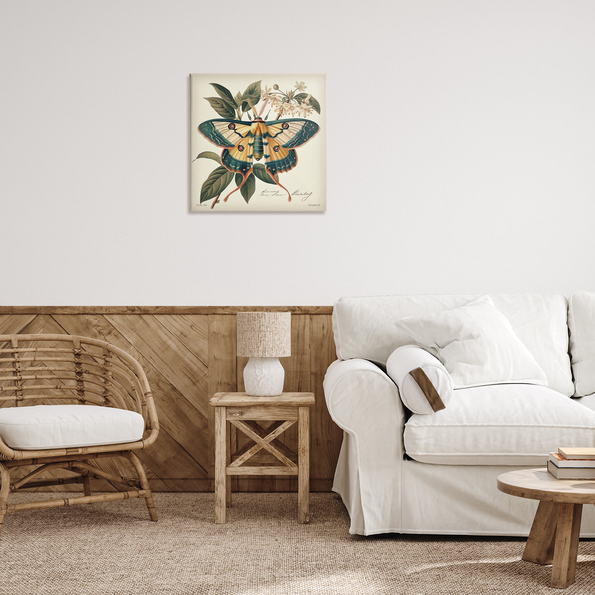 Stupell Industries Vintage Moth & Plant Study Animals Painting Wrapped Canvas Art Print Wall Art, 24 x 24