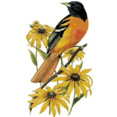 maryland state bird and flower baltimore oriole and black eyed susan