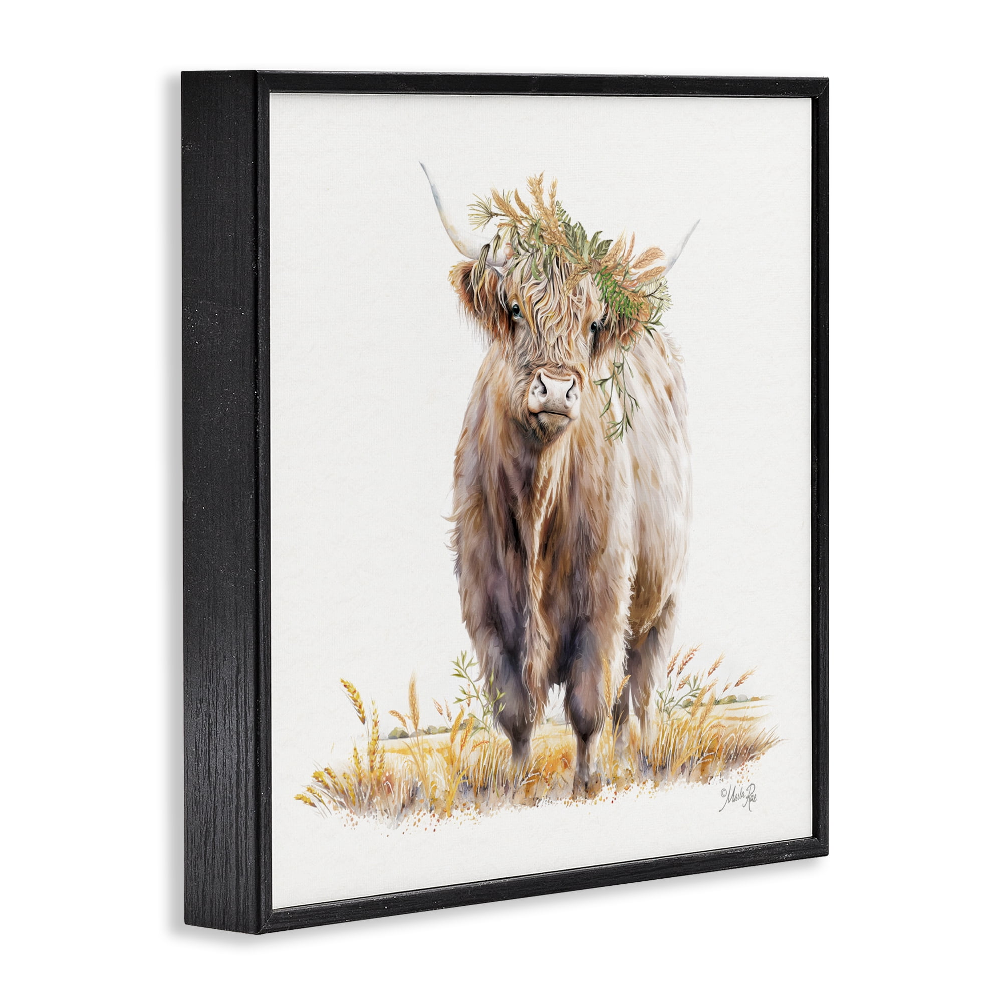 Stupell Industries Ollie the Highland Cattle Black Framed Giclee Art, design by Marla Rae