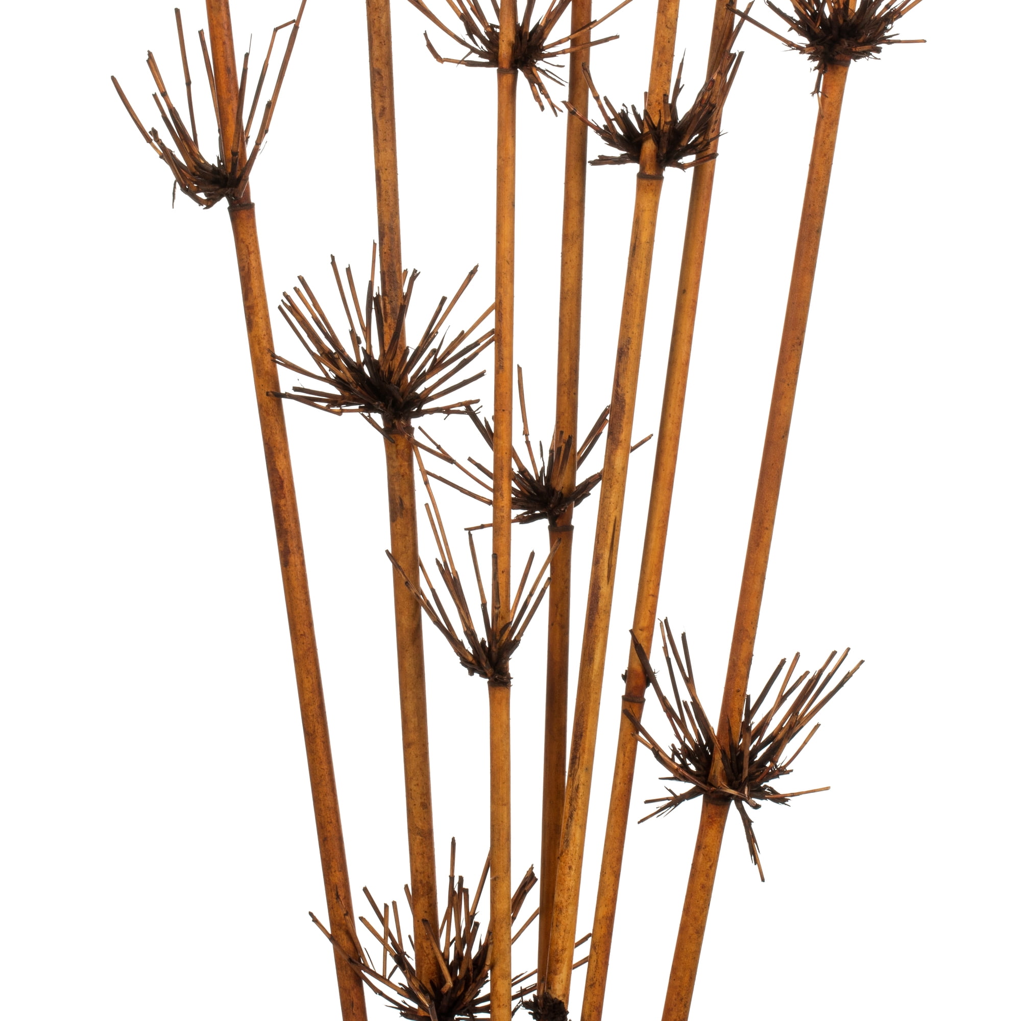 Vickerman 36-40" Brown Star Bamboo Reed, 7 stems, Dried