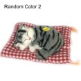 thumbnail image 1 of Trayknick Simulation Mini Cat High Simulation Breathable Birthday Gifts Cloth Pad Plush Cats for Kids, 1 of 13