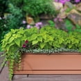 thumbnail image 4 of Southern Patio 36 In Medallion Hanging Windowsill Garden Box Planter, Terracotta, 4 of 6