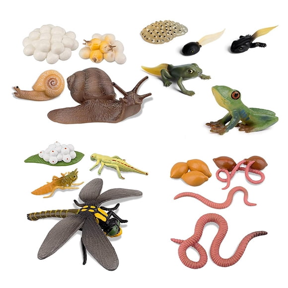 Cycle de Vie de Grenouille Escargot Ver de Terre Libellule, Œuf Têtard à Grenouille Safariologie Kit de Figurines Amphibiens, Projet Scolaire, 17 * Figurines d'Insectes Cycle de Vie