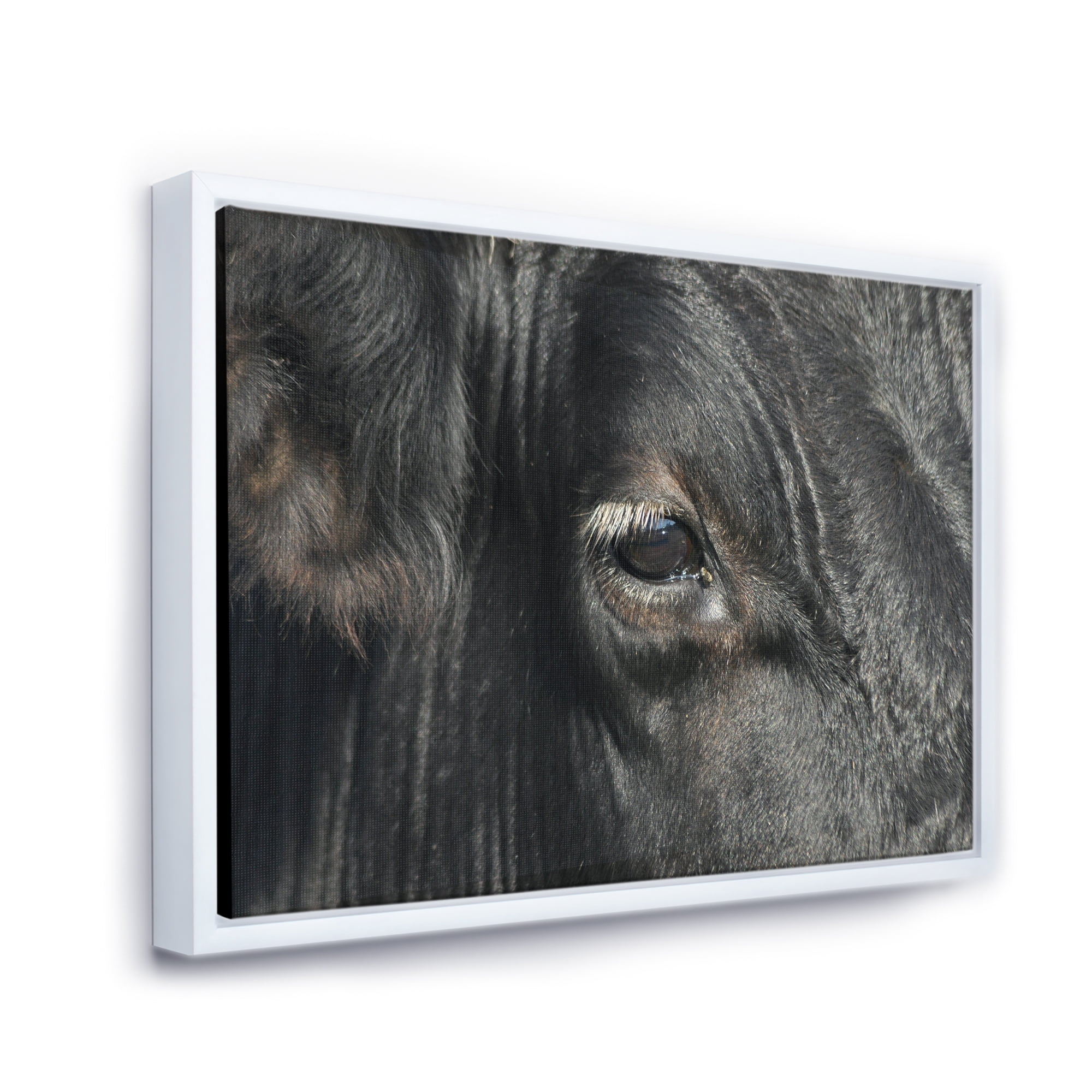 Designart 'Close-Up Of Cow Eye' Farmhouse Framed Canvas Wall Art Print