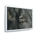 thumbnail image 3 of Designart 'Close-Up Of Cow Eye' Farmhouse Framed Canvas Wall Art Print, 3 of 5