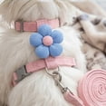 thumbnail image 5 of Cute Kitty Outdoor Escape Proof H Shape Adjustable Pet Harness, Soft Polyester Breathable Material for Ragdoll Teddy Small Dogs, Daily Walk Safety Control with Secure Fit, Holiday Travel Comfort Gear, 5 of 6