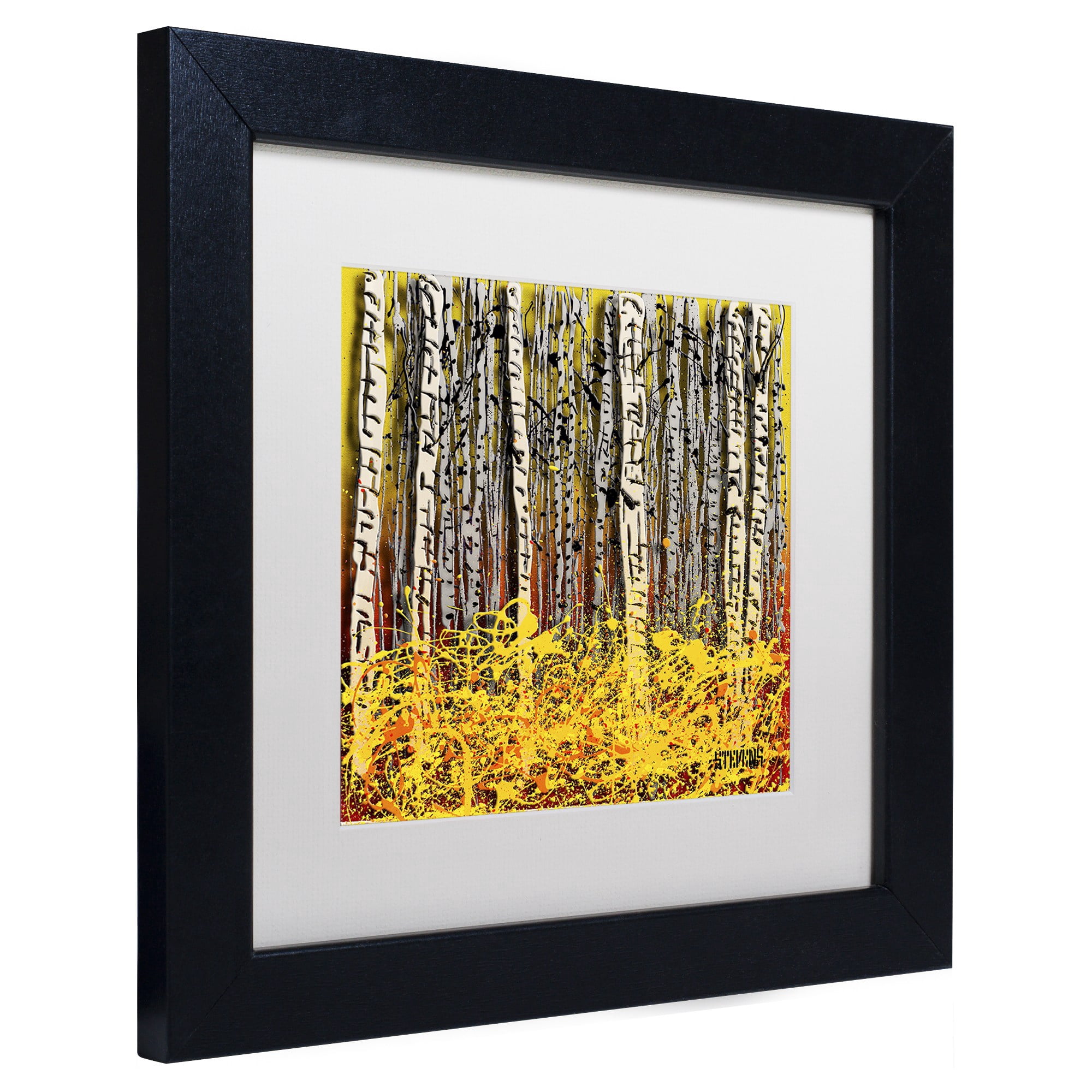 Trademark Fine Art "Fall Aspens" Canvas Art by Roderick Stevens, White Matte, Black Frame