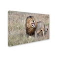 thumbnail image 2 of Trademark Fine Art 'Lion' Canvas Art by Alessandro Catta, 2 of 3