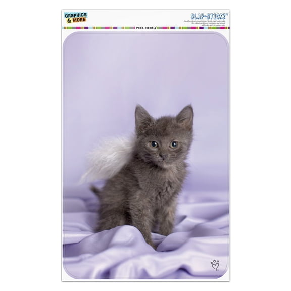Domestic Shorthair Kitten Cat Angel Wings Purple Satin Home Business Office Sign