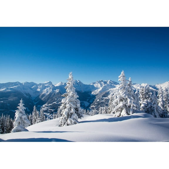 Winter Pine Forest Mountain Snow Sky Natural Scic Photo Backgrounds Christmas Photography Backdrops For Photo Studio
