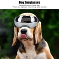 thumbnail image 3 of Lunettes de Protection pour Animaux, Lunettes de Soleil Confortables avec Sangles Élastiques Réglables Durables pour Course Lentilles Rouges, Lentilles Grises, Lentilles Bleues, Lentilles Transparentes, Lentilles Argentées, 3 of 7