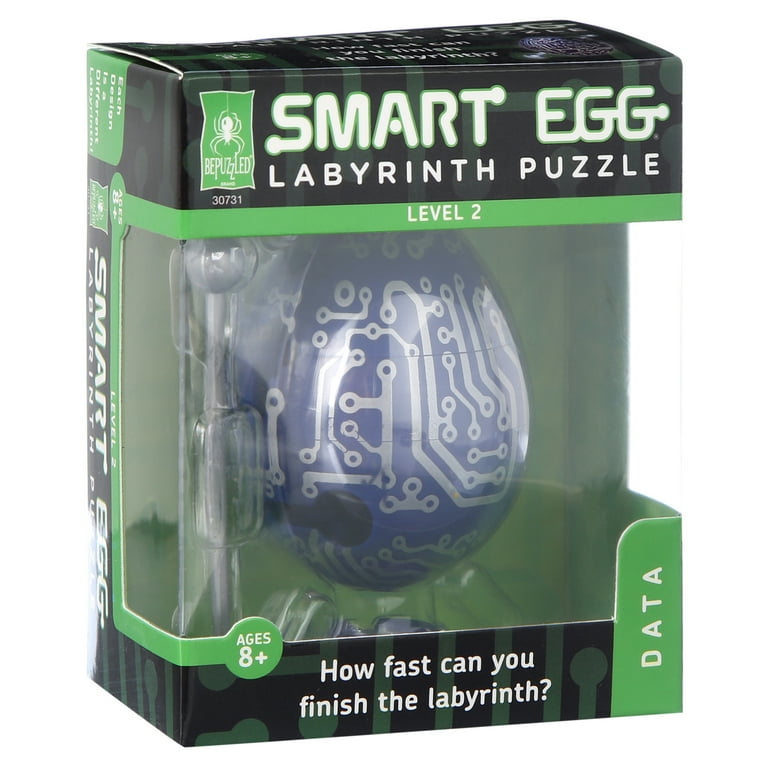 DATA 1-Layer, Level 2 Smart Egg Labyrinth Puzzle - Walmart.com
