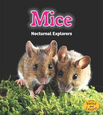 are rats nocturnal are rats nocturnal