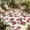 Crimson, variant on Indoor Outdoor Area Rugs,Modern Khaki Green Wave Texture Washable Patio Rug Non-slip Quick Dry Camping Rugs,Abstract Watercolor Geometric Floor Carpet for Porch Deck Backyard RV Decor,6x9ft