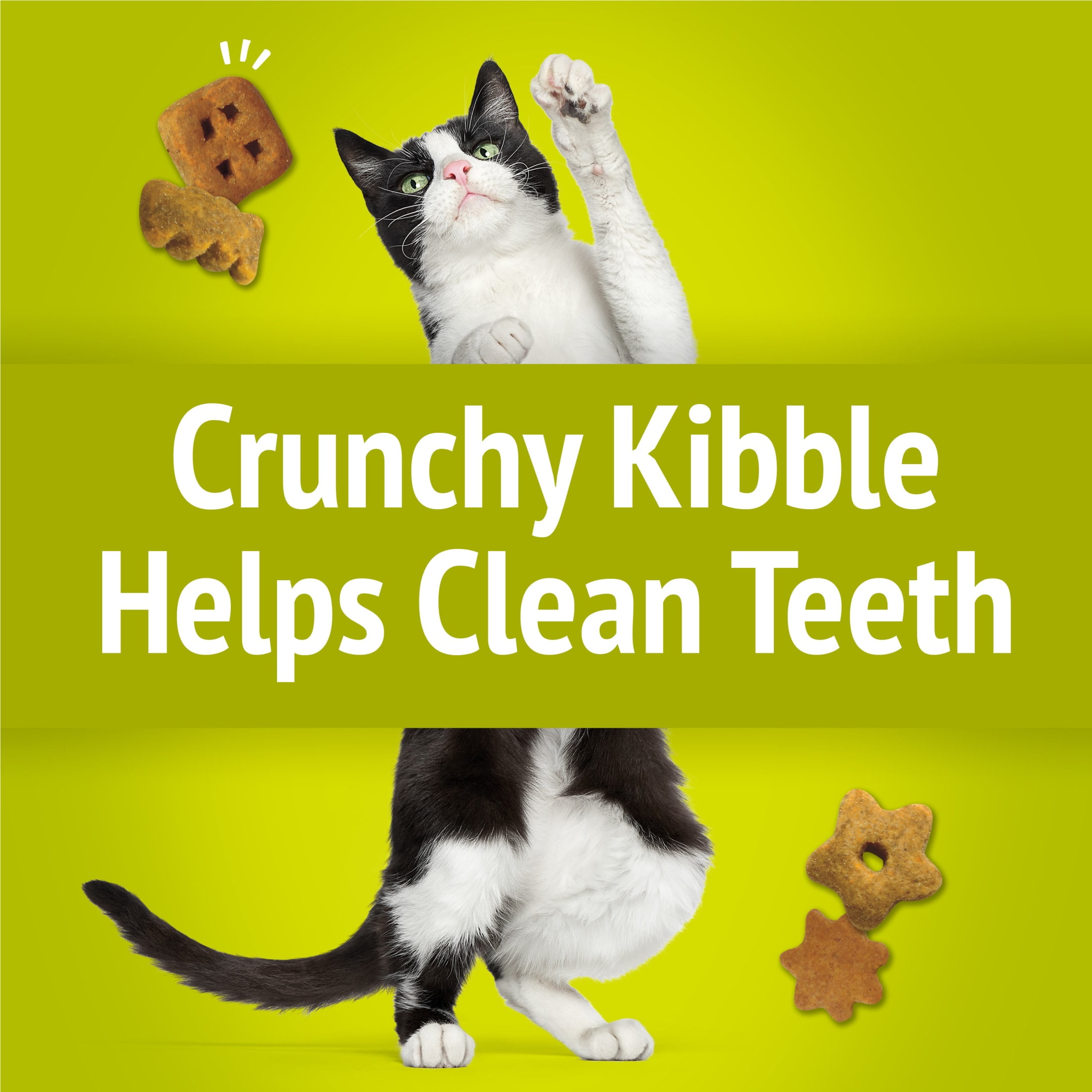 (2 pack) Purina Friskies Party Mix Morning Munch Crunch Cat Treats, 2.1 oz.
