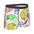 thumbnail image 3 of Bingfone Colorful Pattern With Cute Chameleons Men'S Underwear - Casual Stretch Boxer Briefs-Xx-Large, 3 of 9