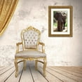 thumbnail image 3 of Underdahl, Dana 11x14 Gold Ornate Wood Framed with Double Matting Museum Art Print Titled - Safari Elephant II, 3 of 4