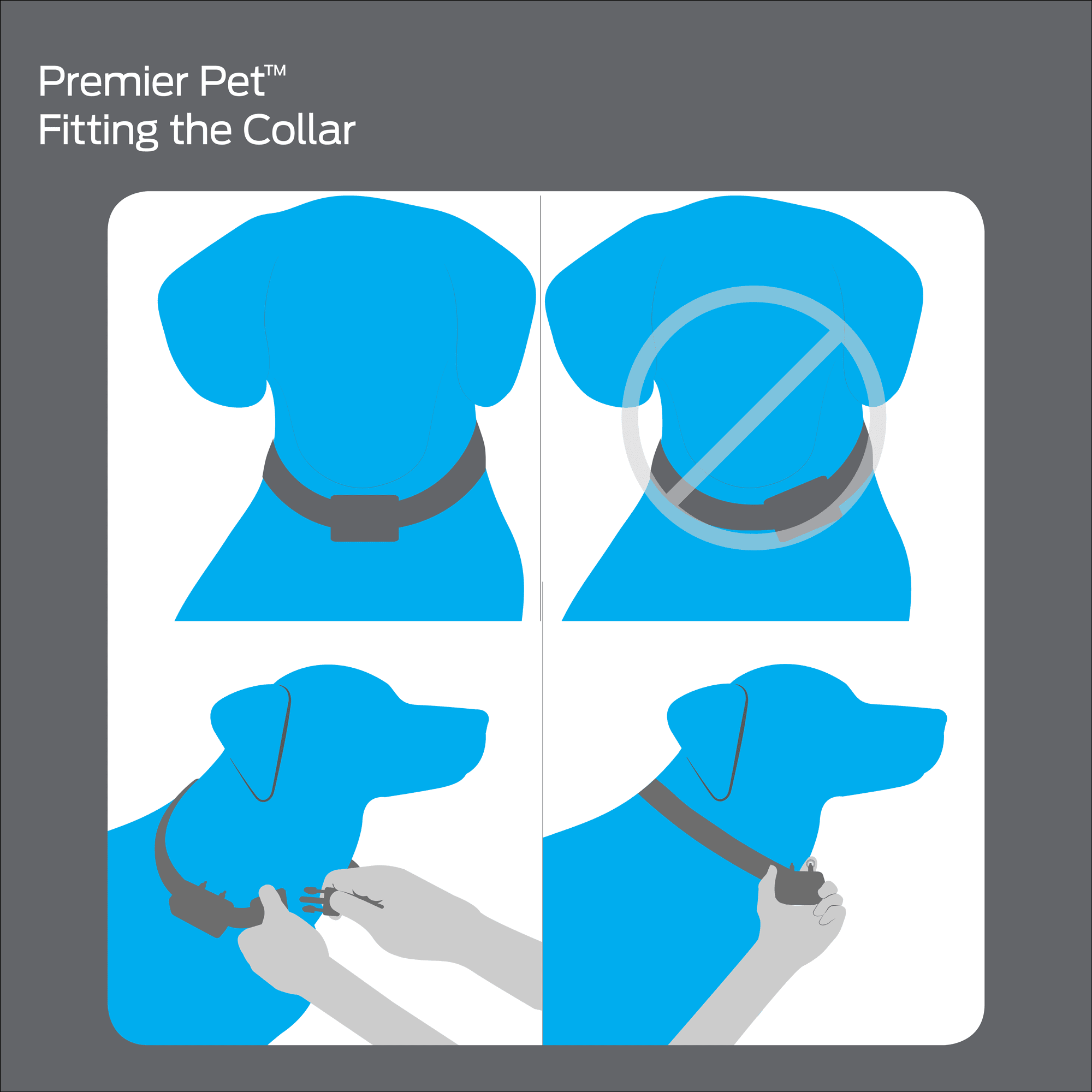 premier pet yard trainer