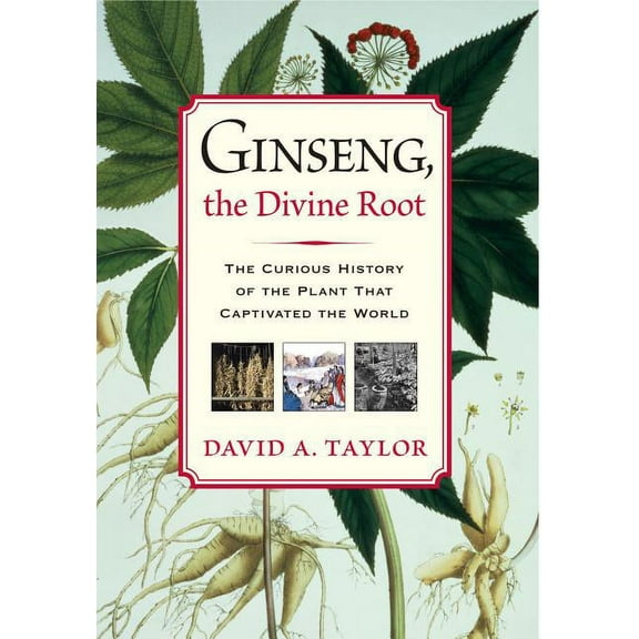Ginseng, the Divine Root: The Curious History of the Plant That Captivated the World, (Paperback)