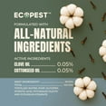 thumbnail image 5 of Spider Spray, Natural Spider Killer for Indoor and Outdoor | Plant-Based Home Pest Control Spray and Repellent for Spiders | Made with Clove Oil, Safe Around Children and Pets, 22 oz., 5 of 9