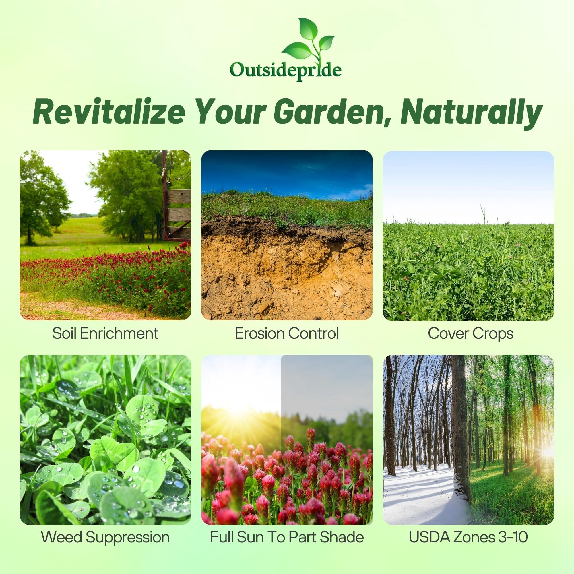 Outsidepride Gardenway Cover Crop Seed - 10 LB