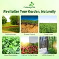 thumbnail image 2 of Outsidepride Gardenway Cover Crop Seed - 10 LB, 2 of 5